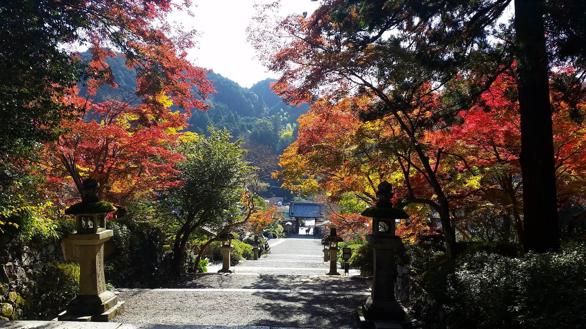 🏯 관심사 (칸신지) 이미지 7